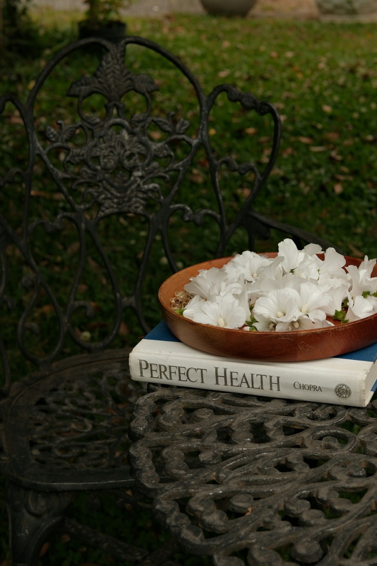 Exploring Modern Peptide Research for Recovery and Longevity