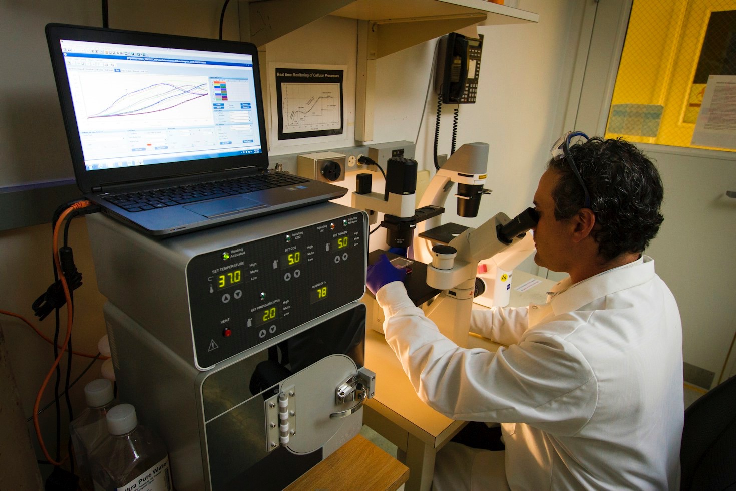 Key Nutrition and Peptide Synergies for Whole-Body Health